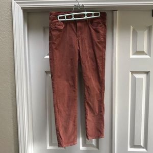 GARAGE Burnt Orange Corduroy-Like Pants